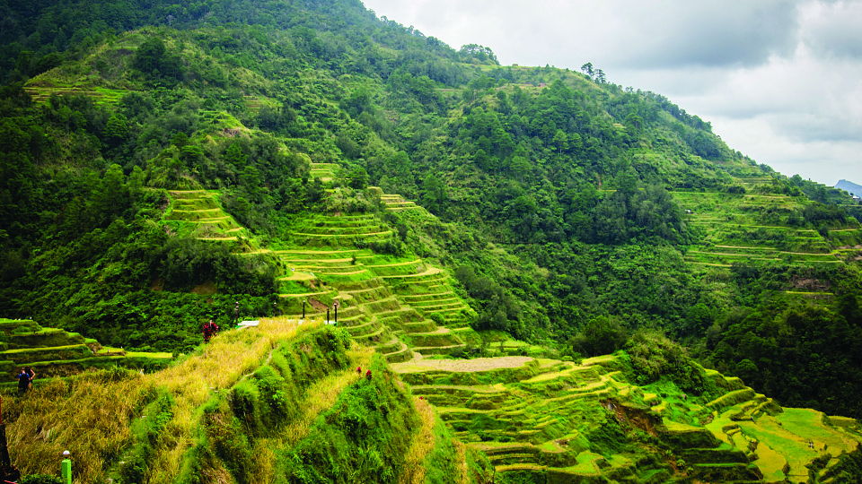 /images/r/banaue-philippines-3806956/c960x540g0-480-4608-3072/banaue-philippines-3806956.jpg