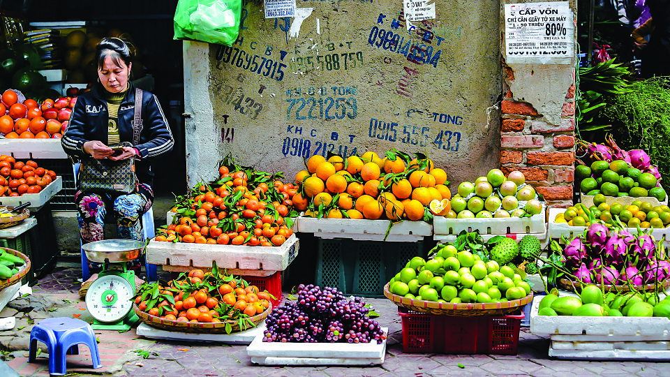 /images/r/vietnam-street-vendor/c960x540g0-383-4000-2633/vietnam-street-vendor.jpg